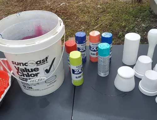 Where My Art Came From